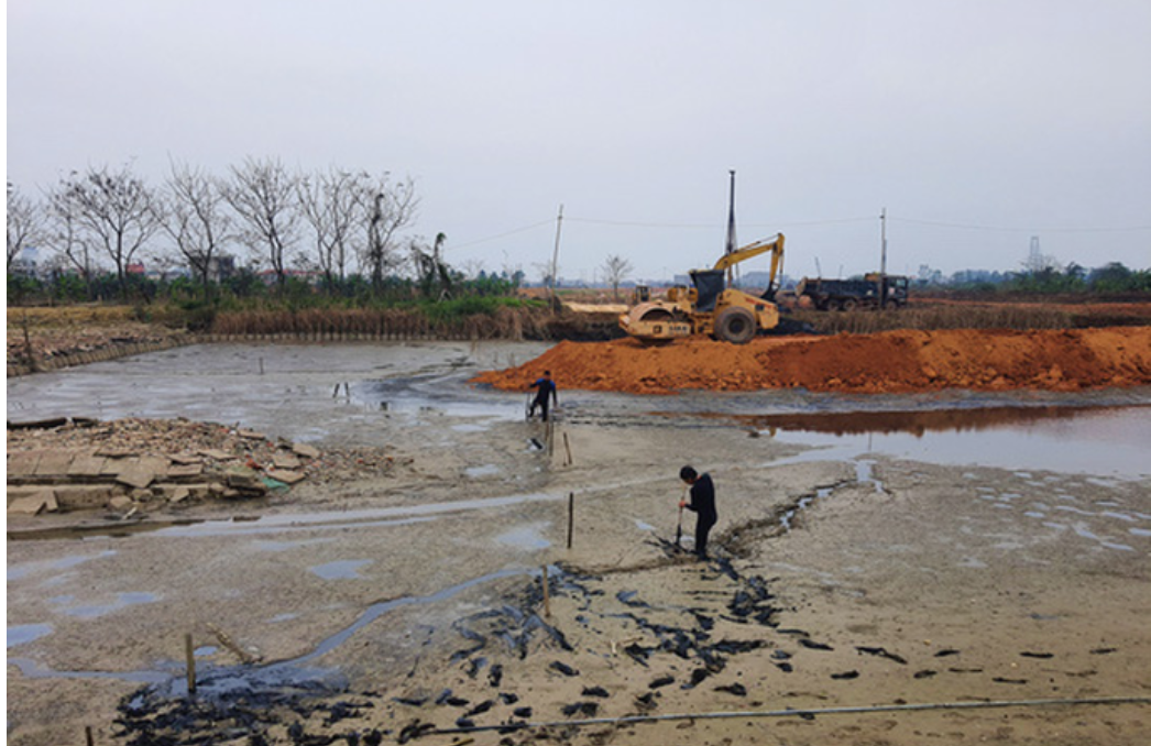 Không[-]có[-]chứng[-]chỉ[-]"hành[-]nghề",[-]vẫn[-]đi[-]giám[-]định[-]dự[-]án[-]rà[-]phá[-]bom[-]mìn?